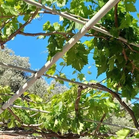 Holiday home Kefalonia Alexis House