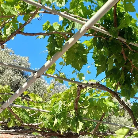 Kefalonia Alexis House Feriehus *