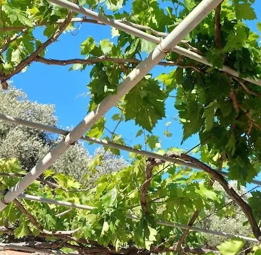 Holiday home Kefalonia Alexis House