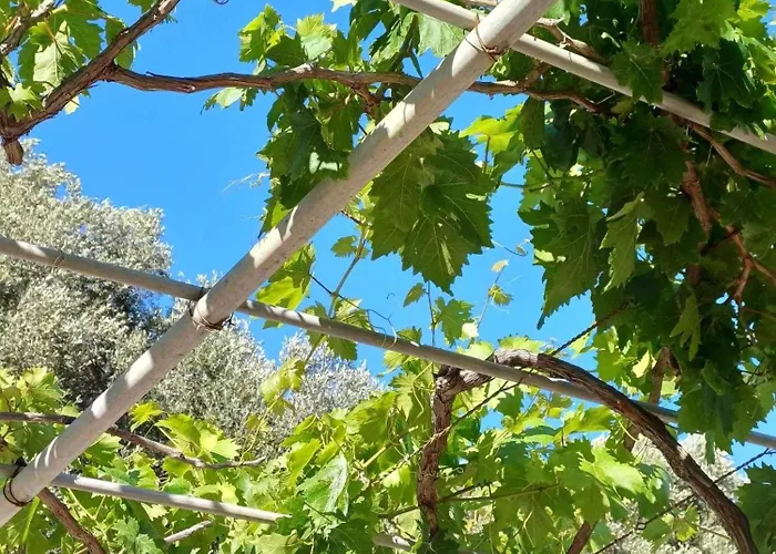 Kefalonia Alexis House Holiday home *