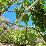 Kefalonia Alexis House Hébergement de vacances *